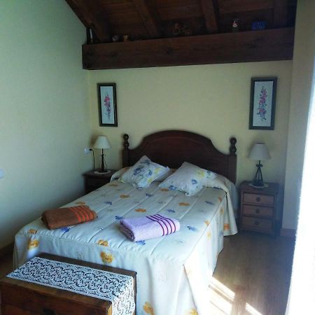 Casa Rural Irugoienea 埃斯皮纳尔奥泽皮利 外观 照片